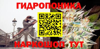 PSILOCYBIN Апшеронск