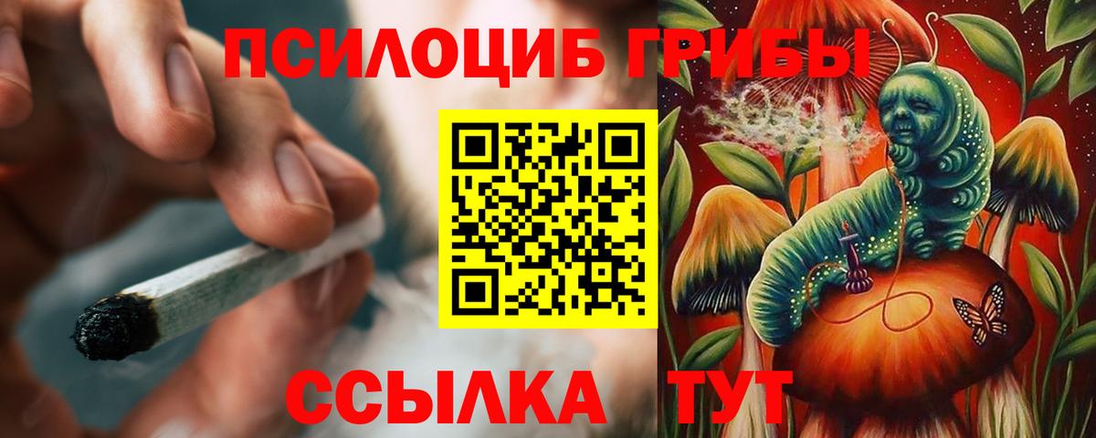Галлюциногенные грибы GOLDEN TEACHER  Вход с VPN  Архангельск 