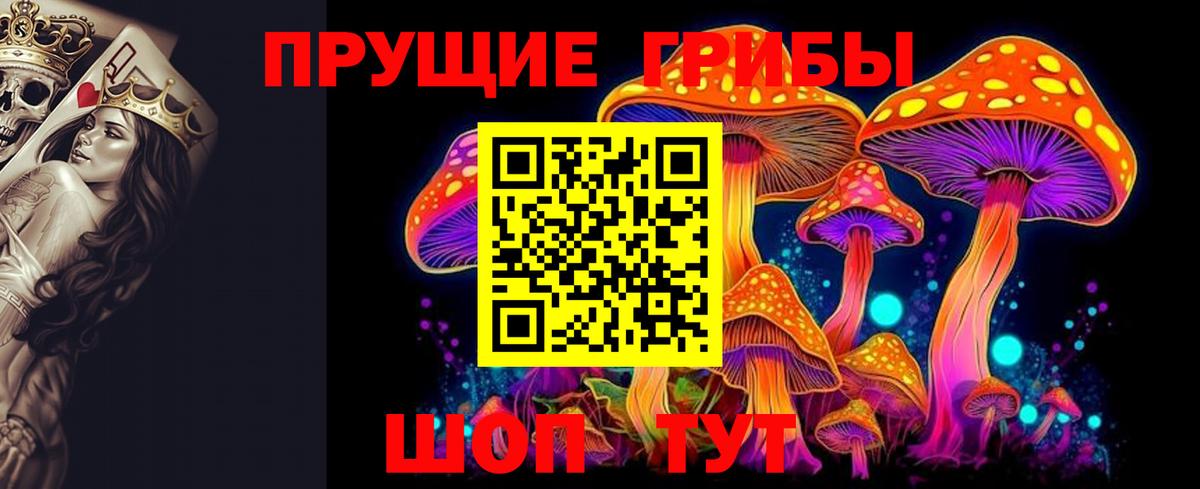 Псилоцибиновые грибы Cubensis Архангельск